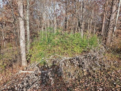 Evensville, TN Land For Sale