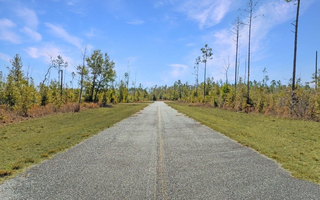 Picture 6