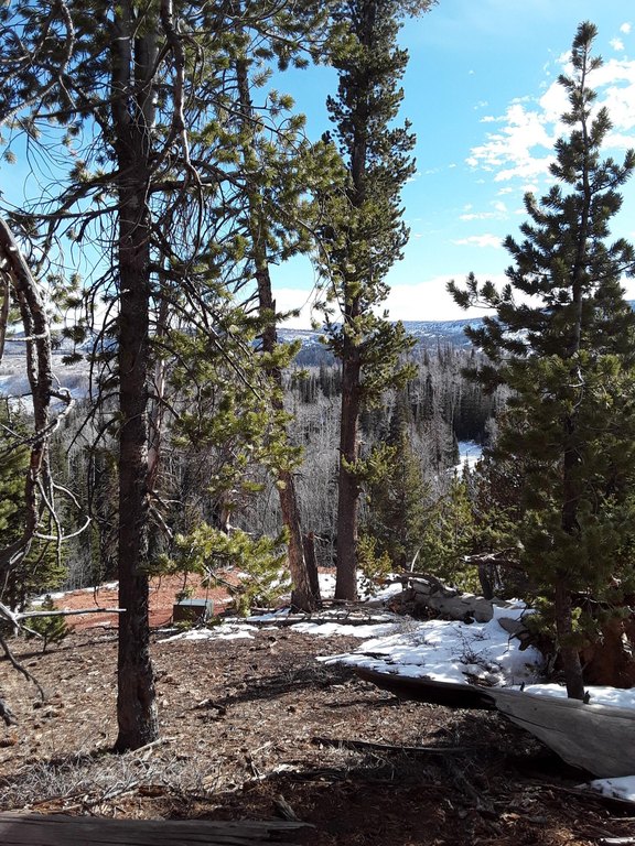 Picture 14