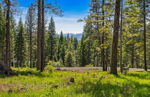 Large Mountain Estate Homesite