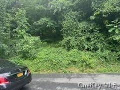Vacant Land in Yonkers, NY