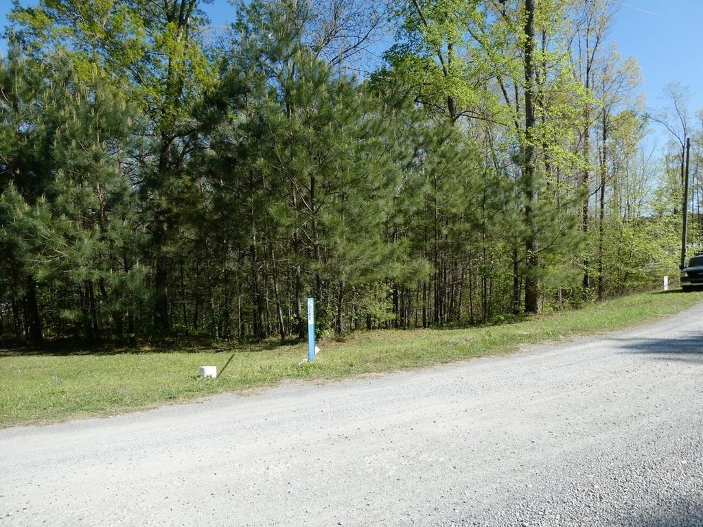 Picture 9