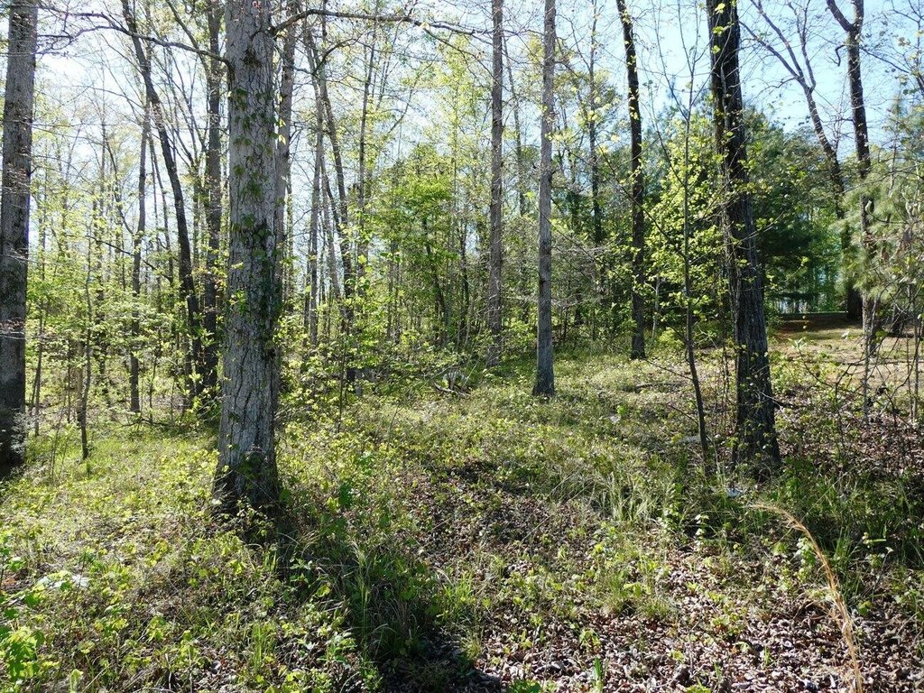 Picture 7