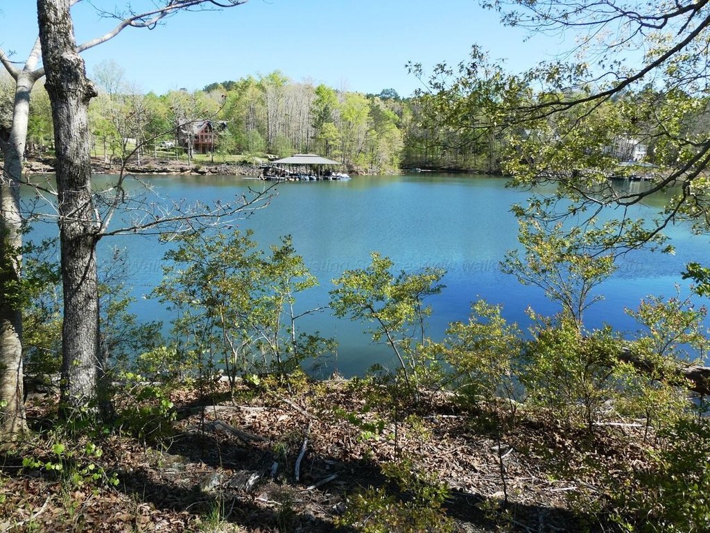 Picture 2