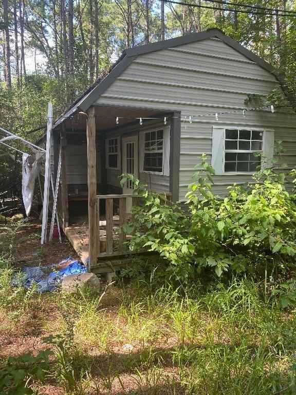 Picture 11
