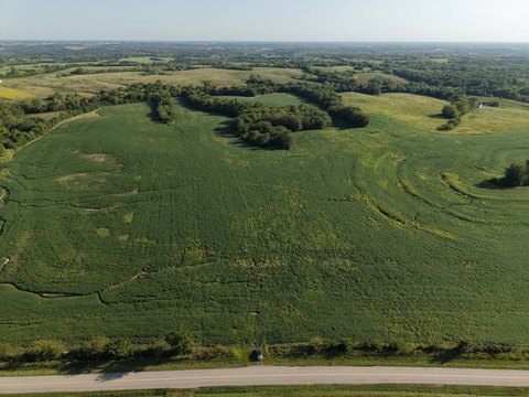 Farm with Timber