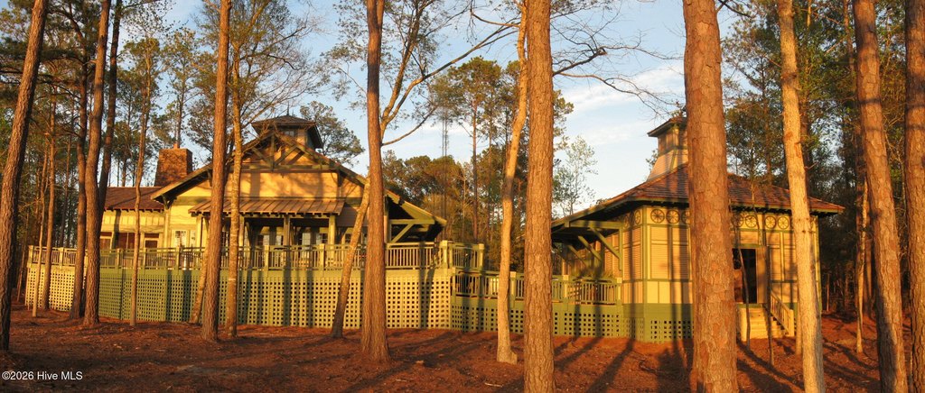 Picture 11