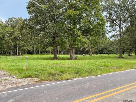 Livingston Land Near I-12
