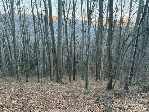 Two Buildable Lots with Views