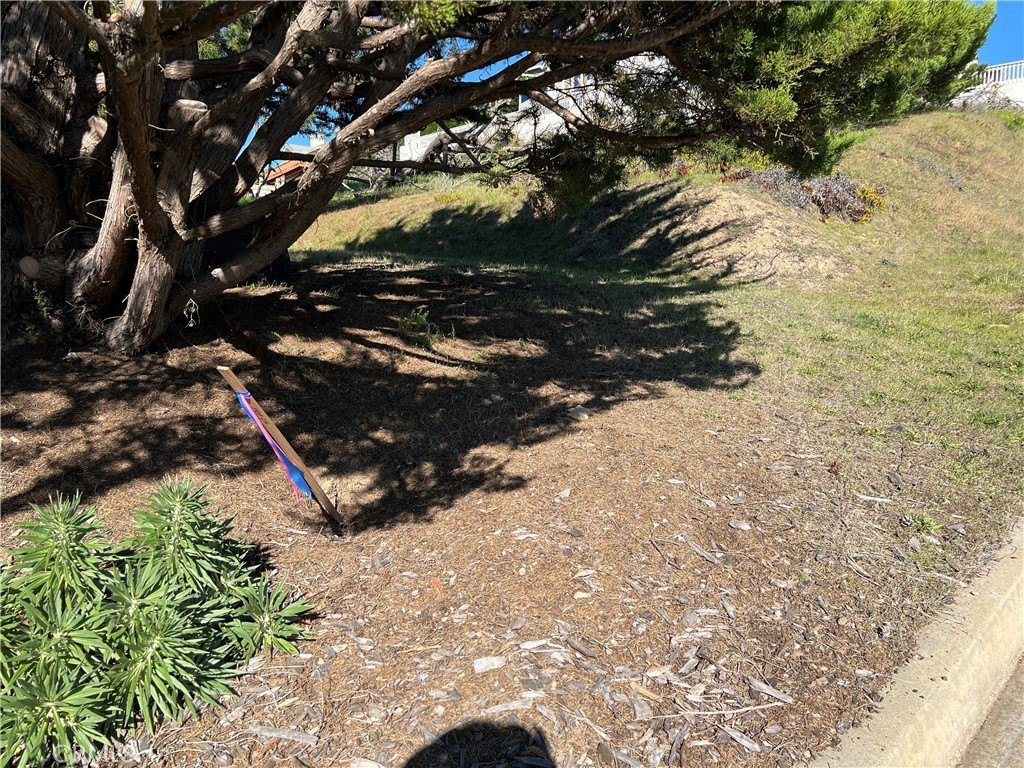 Picture 17