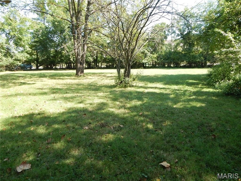 Picture 12