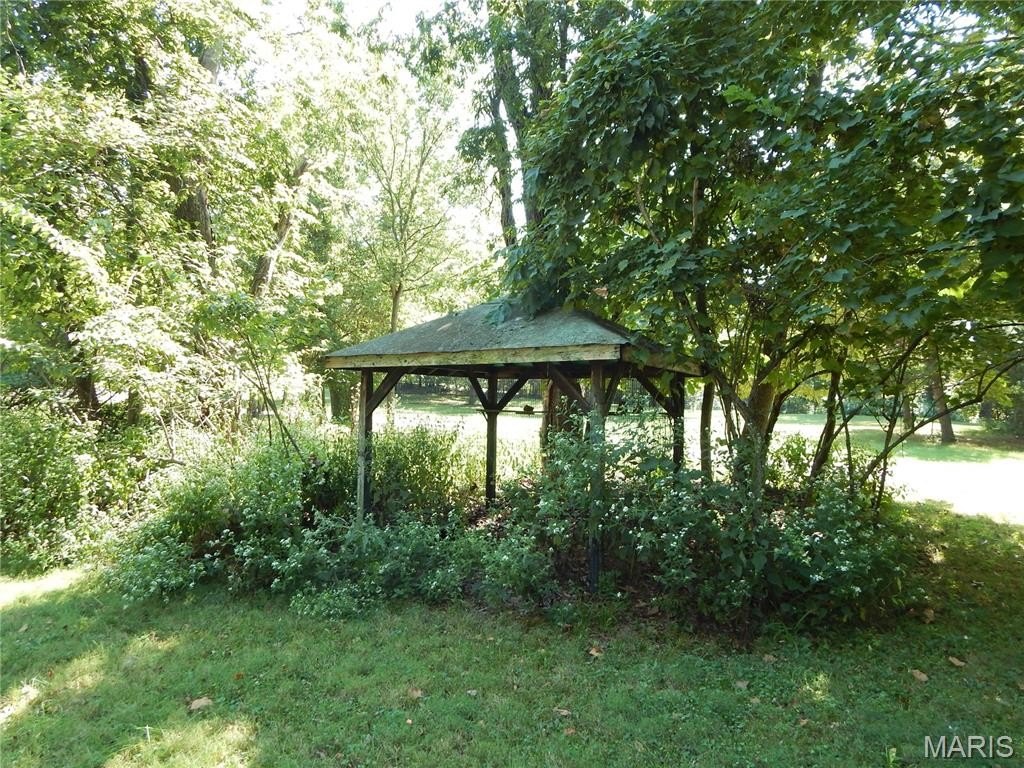 Picture 13