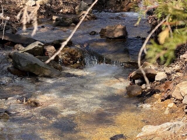 13 Acres of Ozarks Land