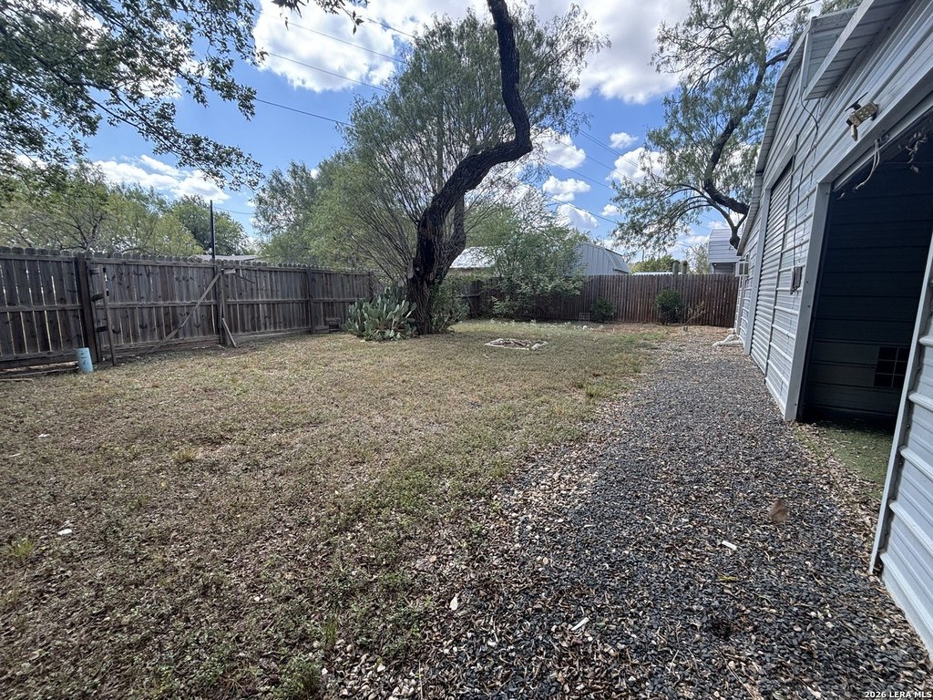 Picture 19