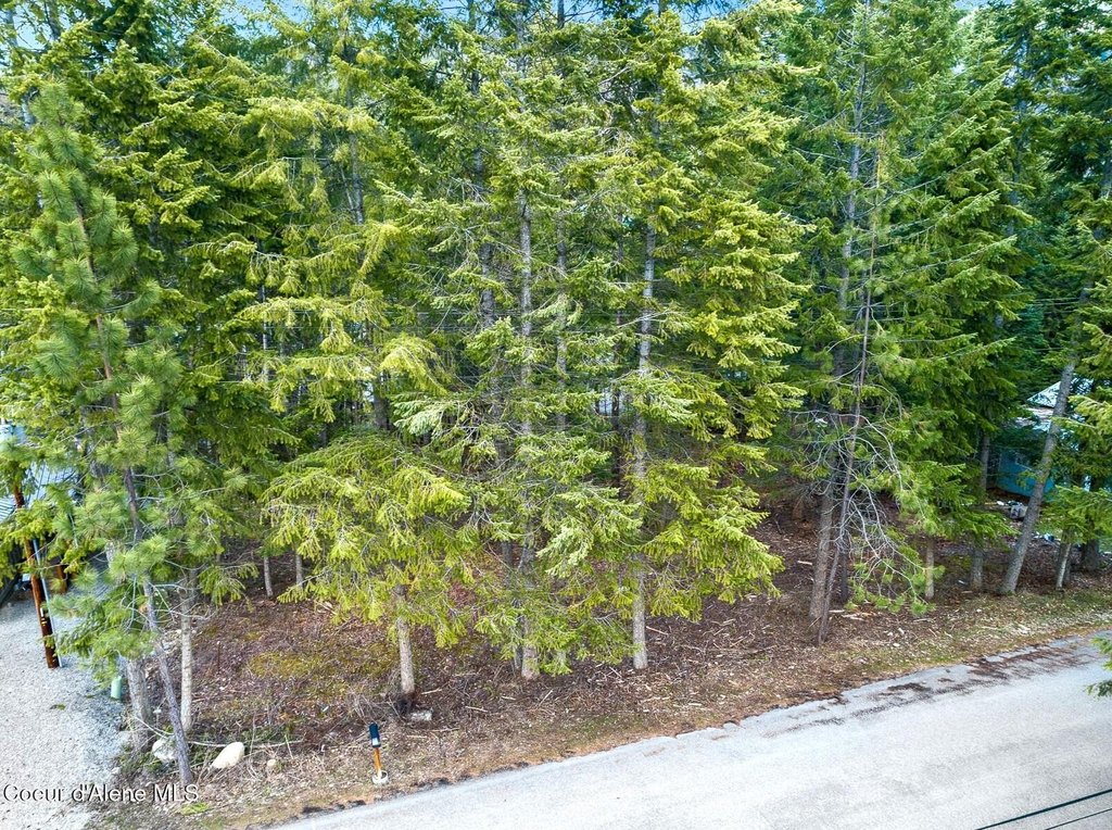 Picture 7