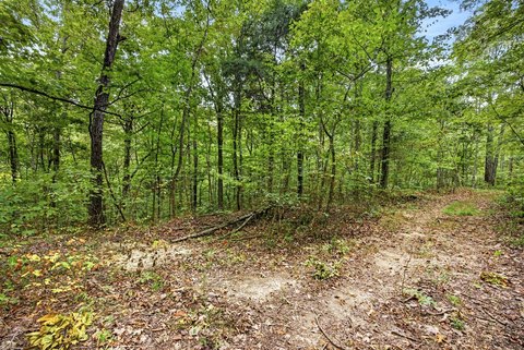 Land, Celina, TN
