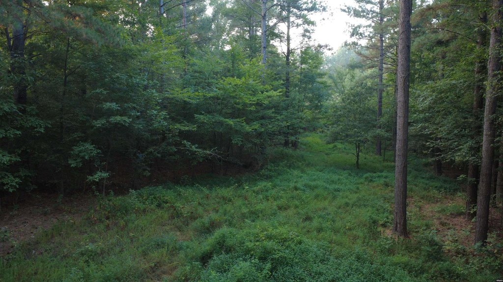 Picture 9