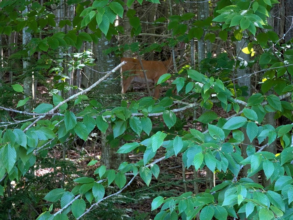 Picture 15