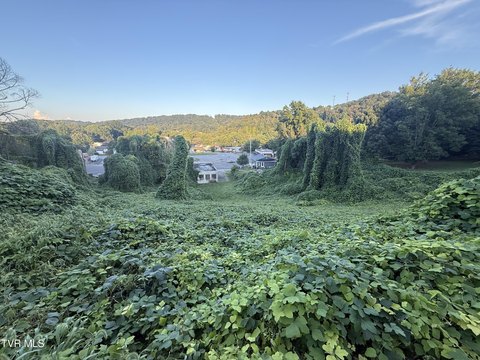 Residential Land in Kingsport, TN