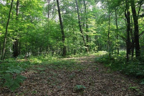 Frederic, WI 5-Acre Lot