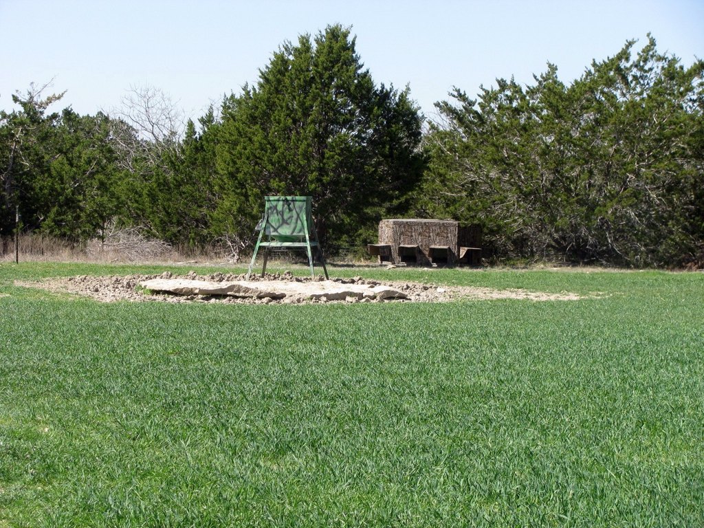 Picture 37