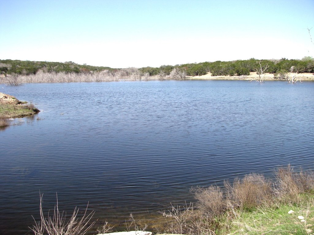 Picture 31