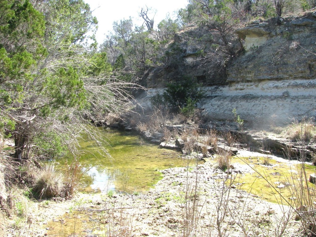 Picture 35