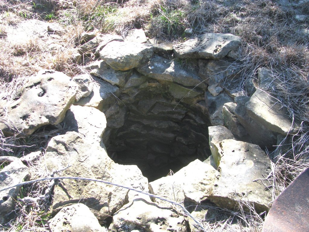 Picture 29