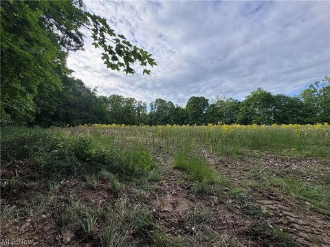 Land, Stockport, OH