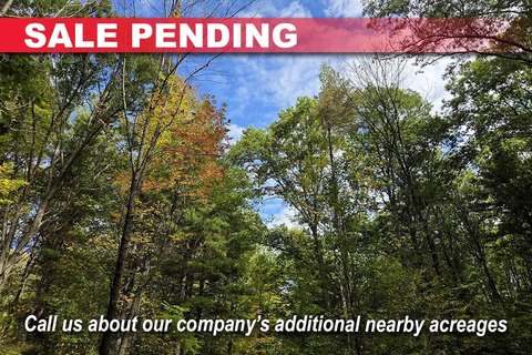 3-Acre Wooded Land Near Rivers