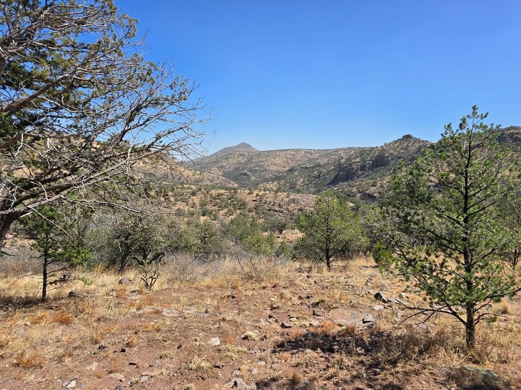 Fort Davis Land with Views