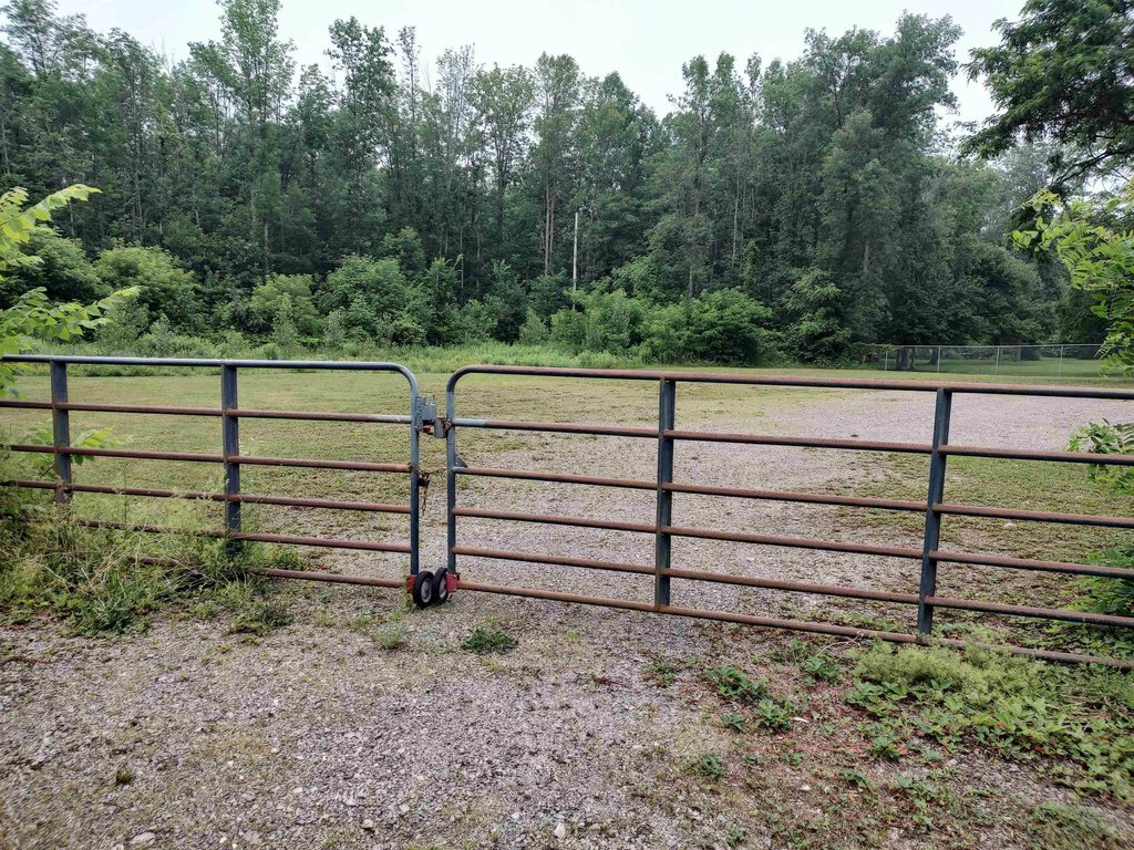 Picture 5