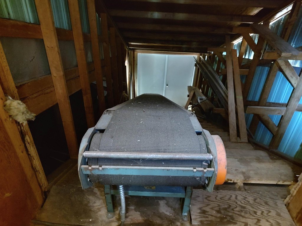 Picture 23