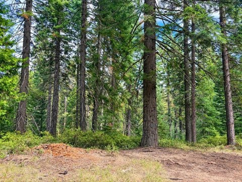 Land, McCloud, CA