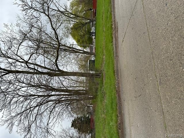 Picture 3