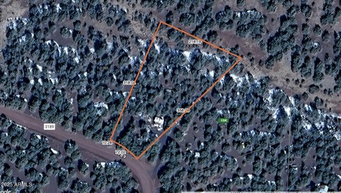 Vernon, AZ Treed Land