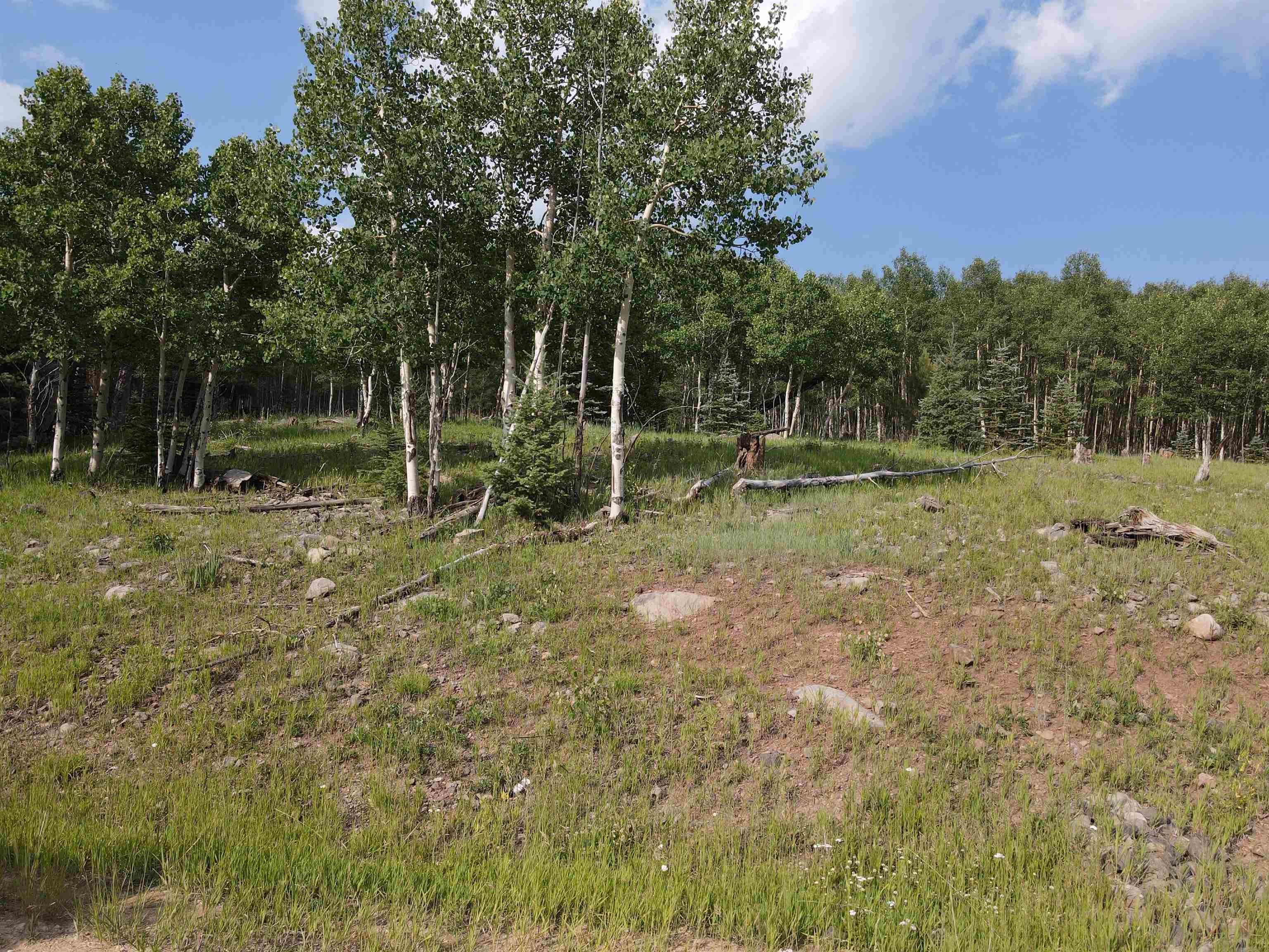 Land in Angel Fire Resort