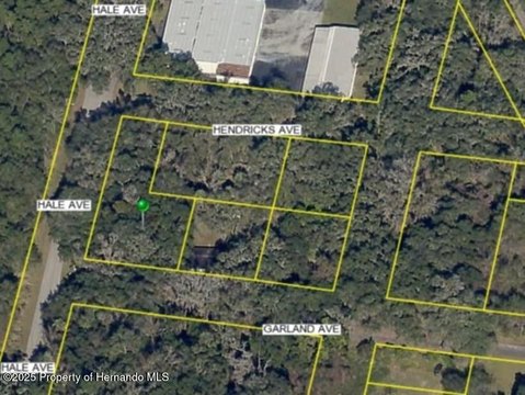 LAND - Brooksville, FL