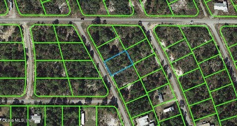 Residential Land in Lake Placid