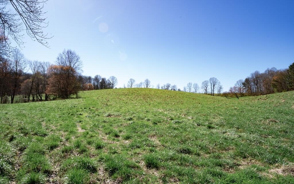 Picture 30