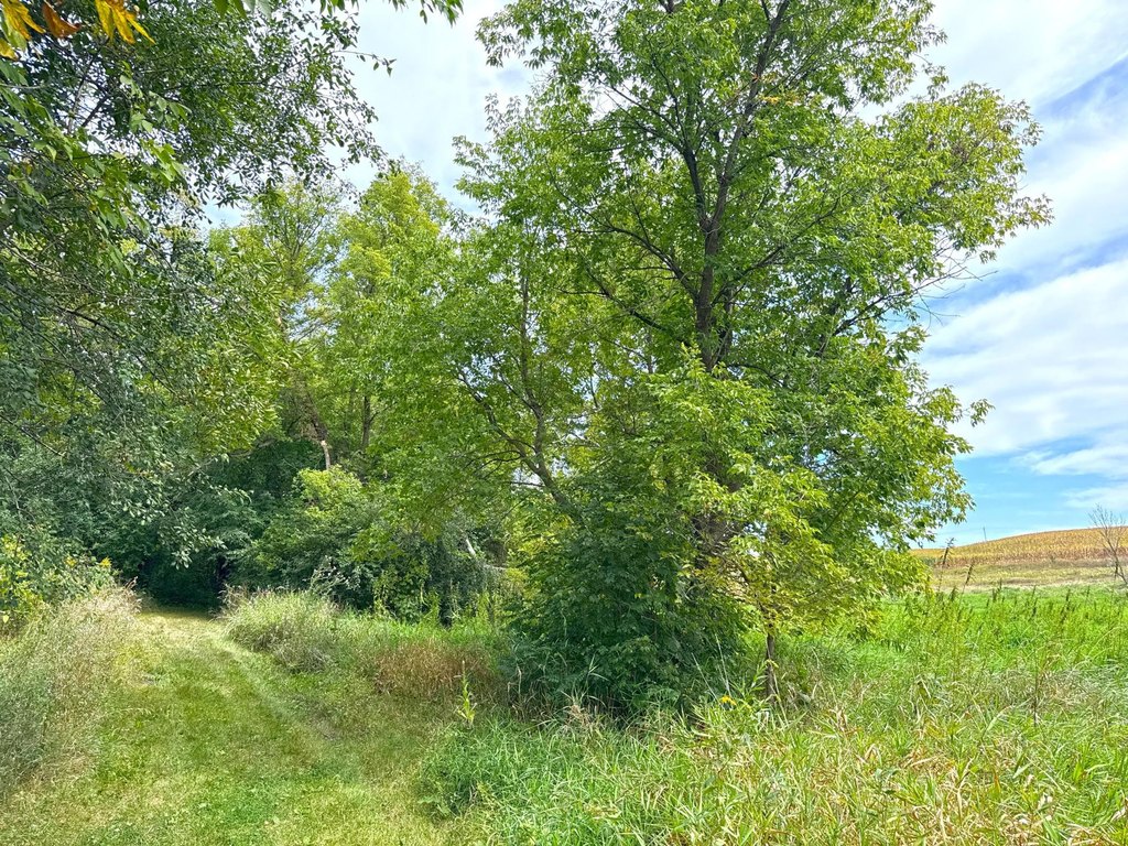 Picture 5