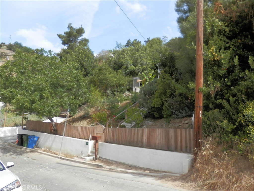 Picture 11
