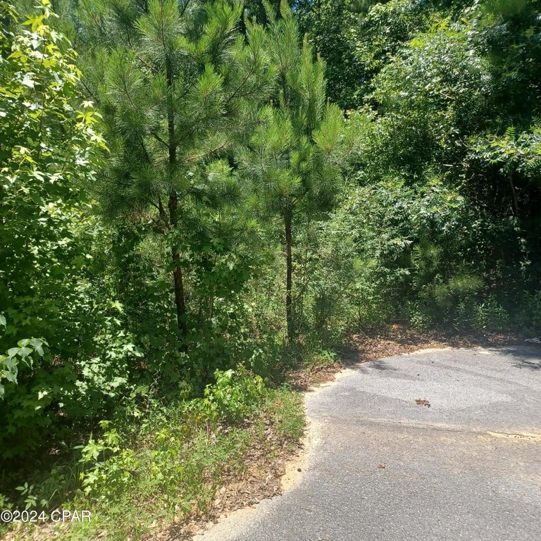Picture 7