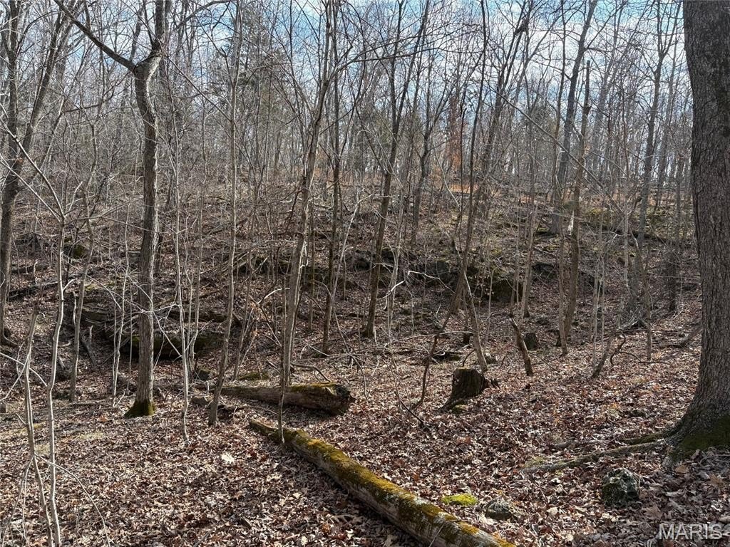 Picture 31