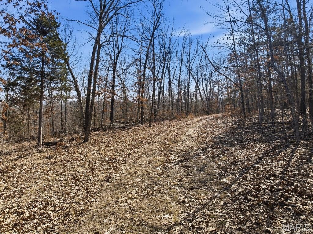 Picture 21