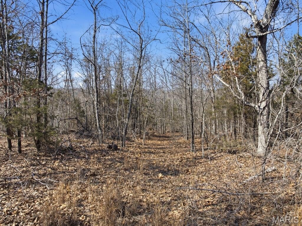 Picture 23