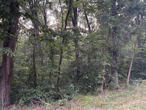 LAND - Smiths Grove, KY