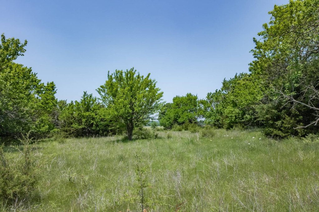 Picture 25