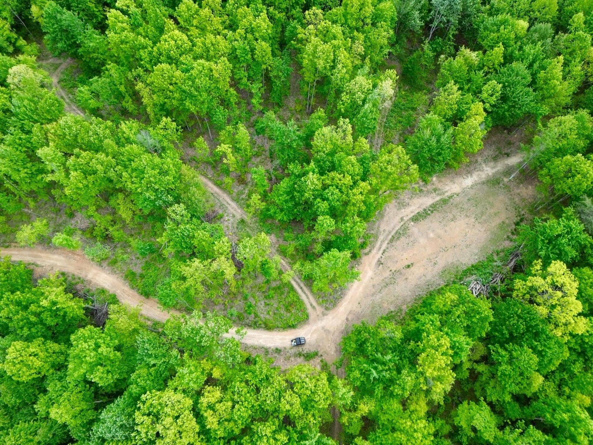 Secluded Hunting Land Near Morehead