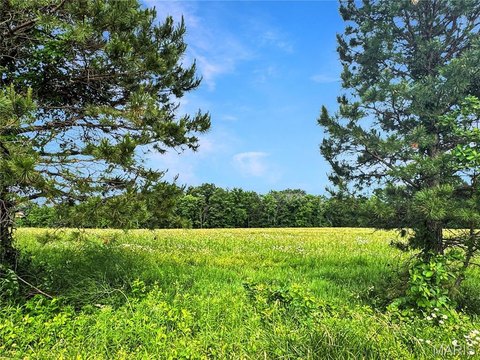 29 Acres Near New Haven